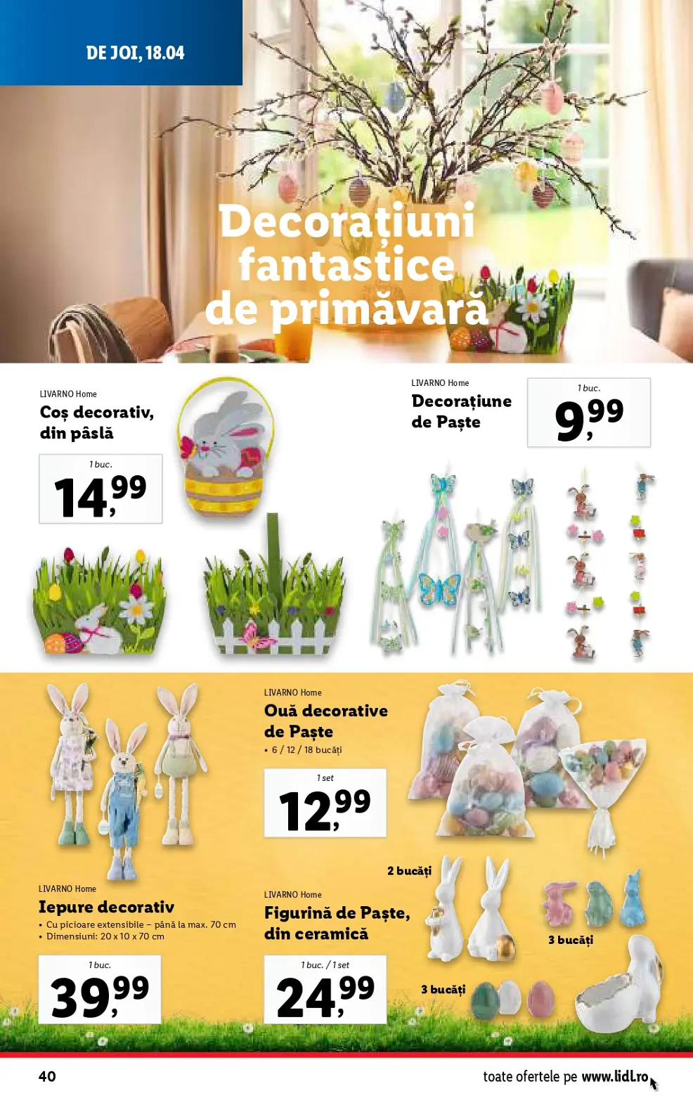 catalog Lidl